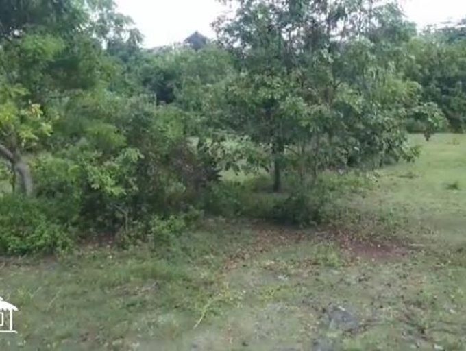 LAND IN BALANGAN BEACH (6)