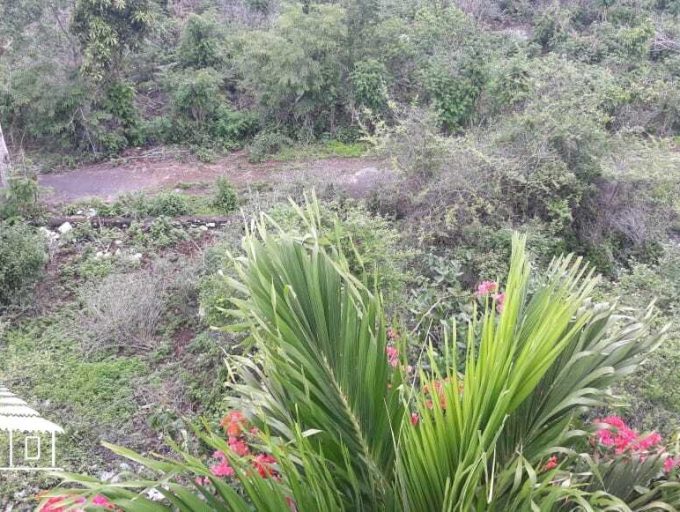 Land for freehold 500 Sqm in Ungasan (12)