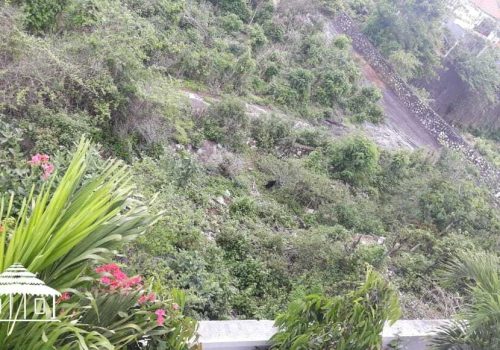 Land for freehold 500 Sqm in Ungasan (6)
