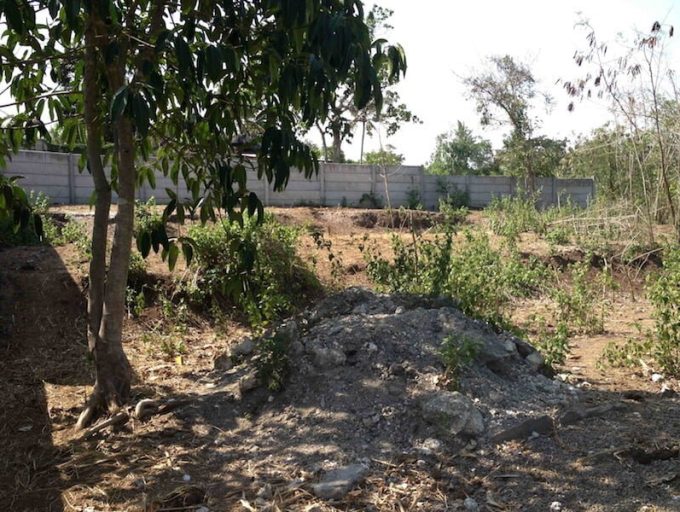 Land-freehold-Nyani-4