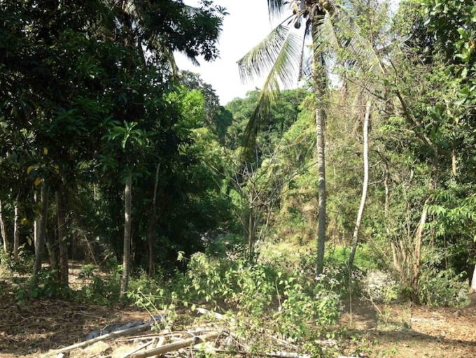 Land-freehold-Nyani-6