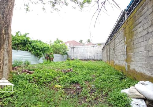 Land in Kerobokan (3)