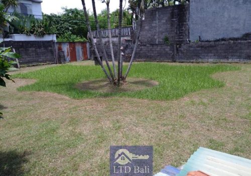 PROFITABLE-LAND-IN-MAINSTREET-OF-UMALAS-FOR-FREEHOLD-3