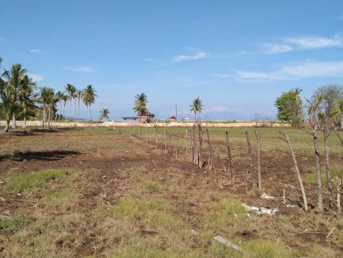 Rare Freehold 12 Are Beachfront land in Lombok (11)