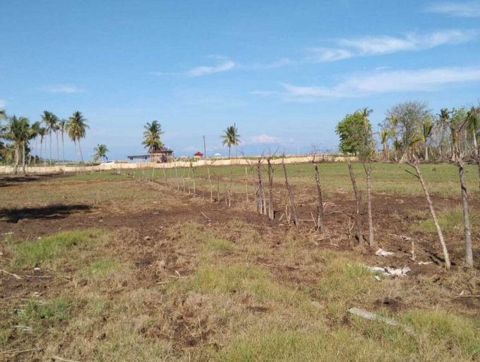 Rare Freehold 12 Are Beachfront land in Lombok (12)