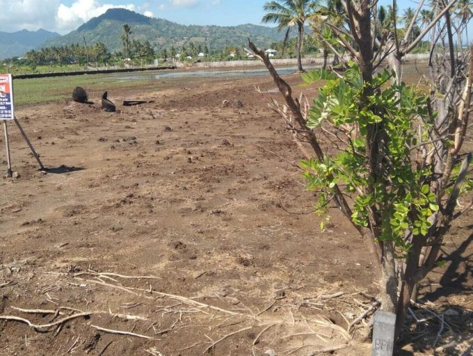 Rare Freehold 12 Are Beachfront land in Lombok (14)