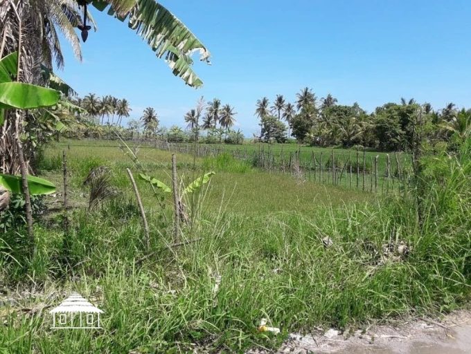Rare Freehold 12 Are Beachfront land in Lombok (5)