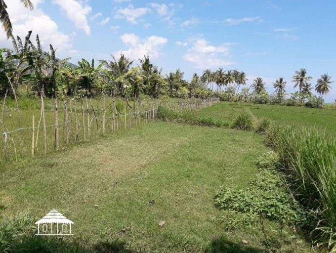 Rare Freehold 12 Are Beachfront land in Lombok (6)