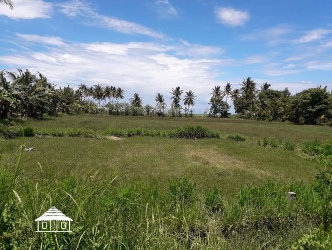 Rare Freehold 12 Are Beachfront land in Lombok (7)