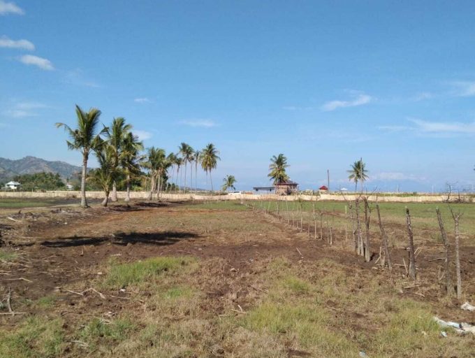 Rare Freehold 12 Are Beachfront land in Lombok (9)