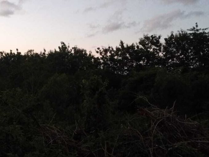 Strategic land with GWK View for freehold 39 Are in Jimbaran (2)