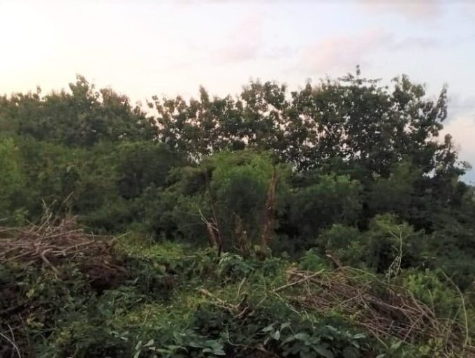 Strategic land with GWK View for freehold 39 Are in Jimbaran (4)