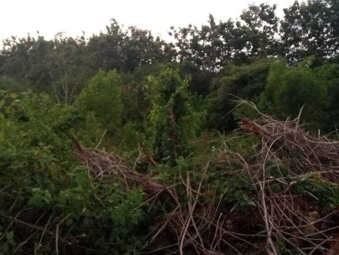 Strategic land with GWK View for freehold 39 Are in Jimbaran (6)