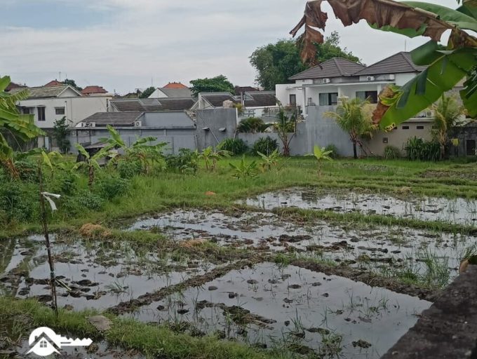 Tanah-5-are-di-canggu-2.jpeg