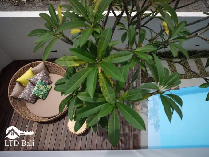 The Cendana Umalas 17