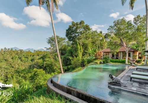 Villa-Bodhi-Pool-2.jpg