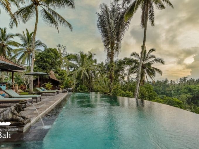 Villa-Bodhi-Pool-3.jpg