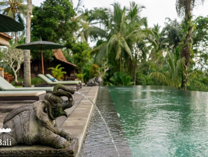 Villa-Bodhi-Pool-5.jpg