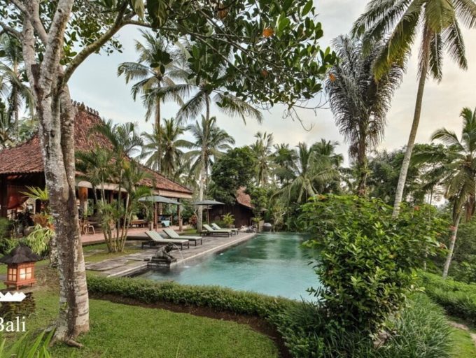 Villa-Bodhi-Pool-6.jpg