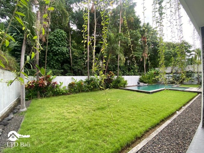 Villa Bucci2