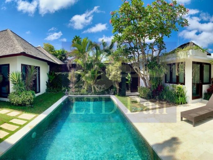 Villa Erika new pict 16