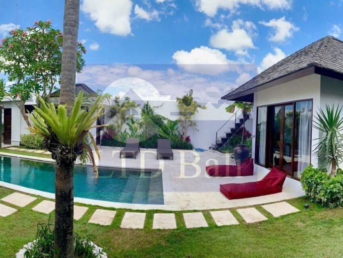 Villa Erika new pict 17