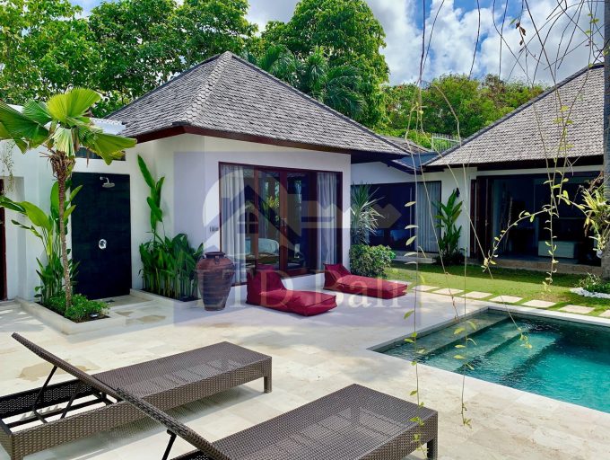 Villa Erika new pict 18