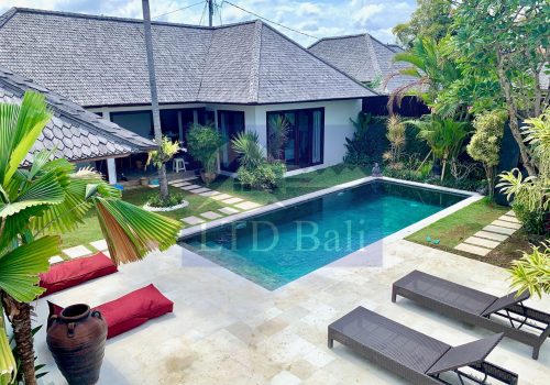 Villa Erika new pict 20