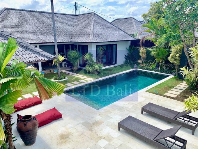 Villa Erika new pict 20