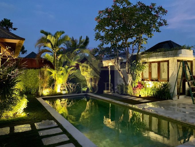 Villa Erika new pict 27