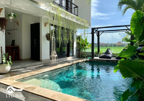Villa Manggo1