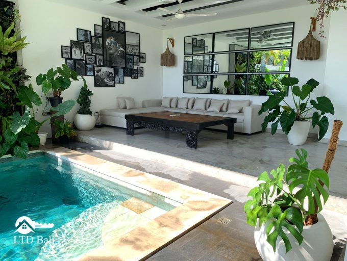 Villa Manggo2