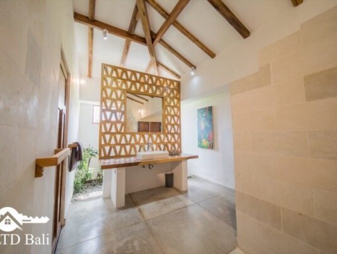 Villa Rovic8