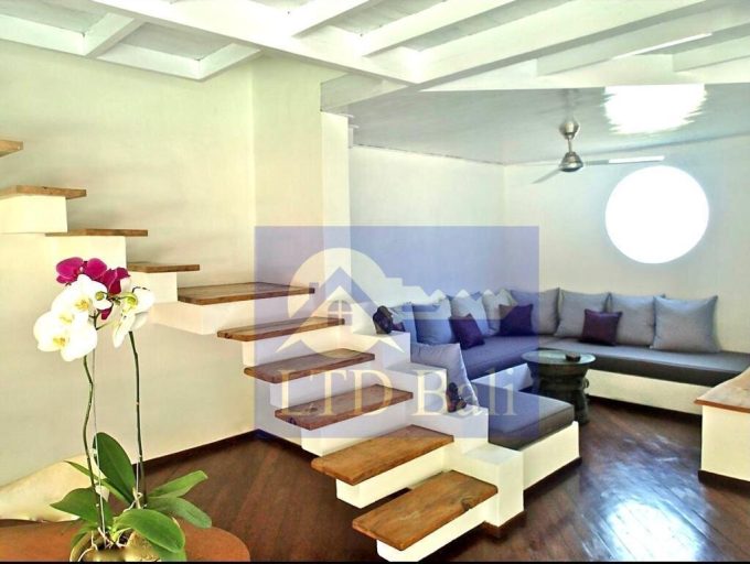 Villa Salsa 7