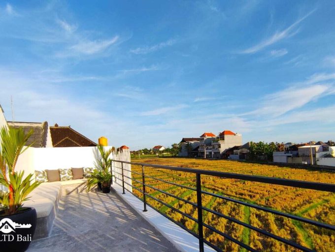 WhatsApp Image 2022-03-29 at 1.55.12 PM (1)