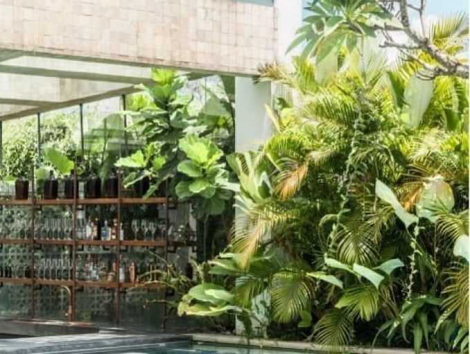 WhatsApp Image 2022-04-06 at 10.50.12 AM (2)