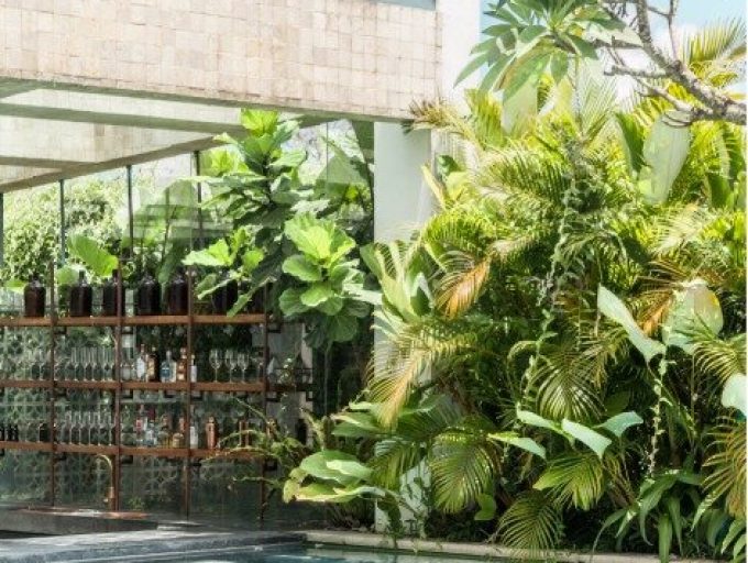 WhatsApp Image 2022-04-06 at 10.50.12 AM (2)