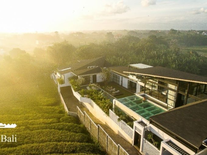 WhatsApp Image 2022-04-06 at 10.50.12 AM