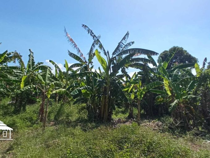 WhatsApp Image 2023-03-13 at 11.47.07 (1)