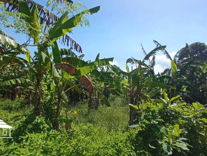 WhatsApp Image 2023-03-13 at 11.47.07