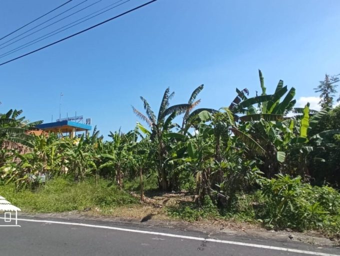 WhatsApp Image 2023-03-13 at 11.47.08