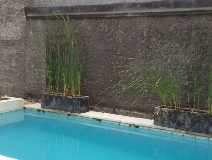 ba251b32-6c4d-43b0-97d5-f5d15b6678a6