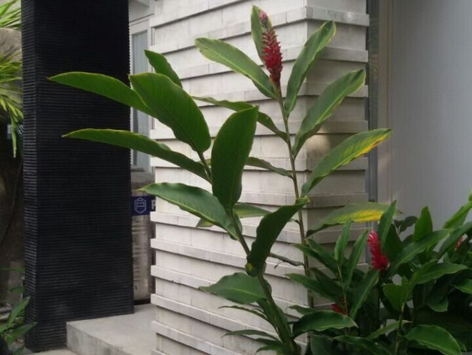 ed6cc4b0-770f-4f4f-aa5a-5b7a77576477