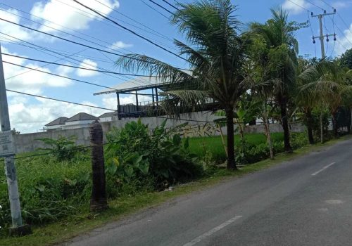 land for lease 35,5 Are in Pererenan (1)