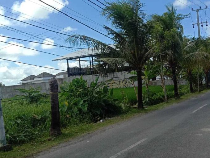 land for lease 35,5 Are in Pererenan (1)