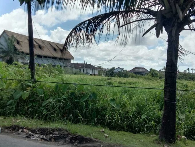 land for lease 35,5 Are in Pererenan (2)