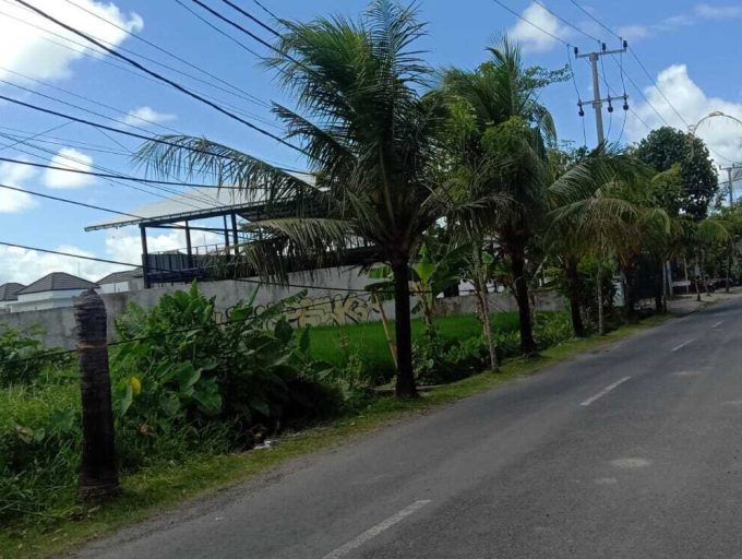 land for lease 35,5 Are in Pererenan (3)
