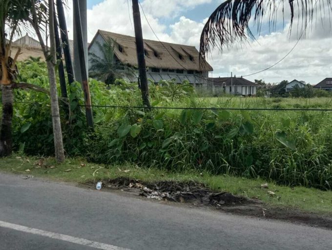 land for lease 35,5 Are in Pererenan (4)