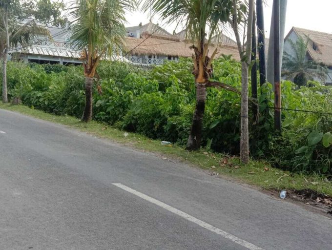 land for lease 35,5 Are in Pererenan (5)