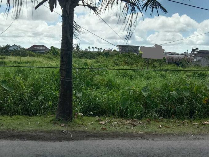 land for lease 35,5 Are in Pererenan (6)